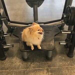 Meet your Posher, Jeff